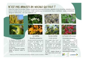 Exposition Bocage d'Avril, panneau sur les plantes